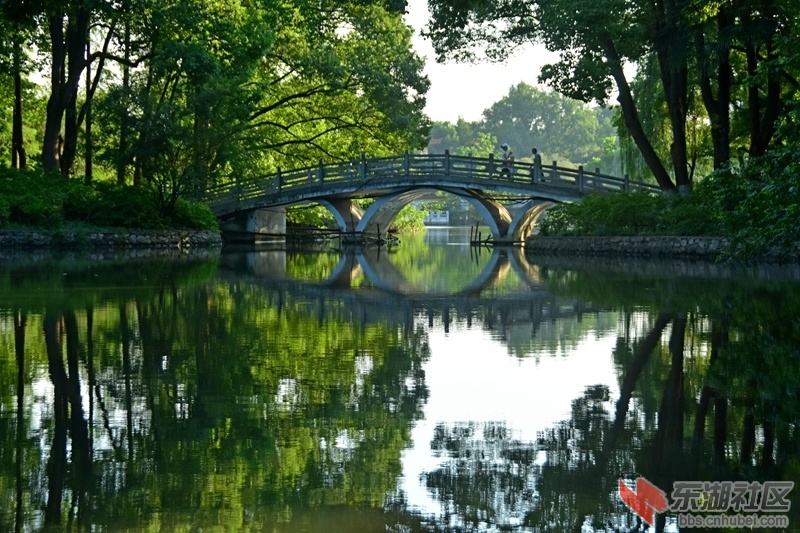 105.青山公园石桥：石桥三孔似天然，假日游人过小船。踏石来回晨练去，岚光树影卧桥边.jpg