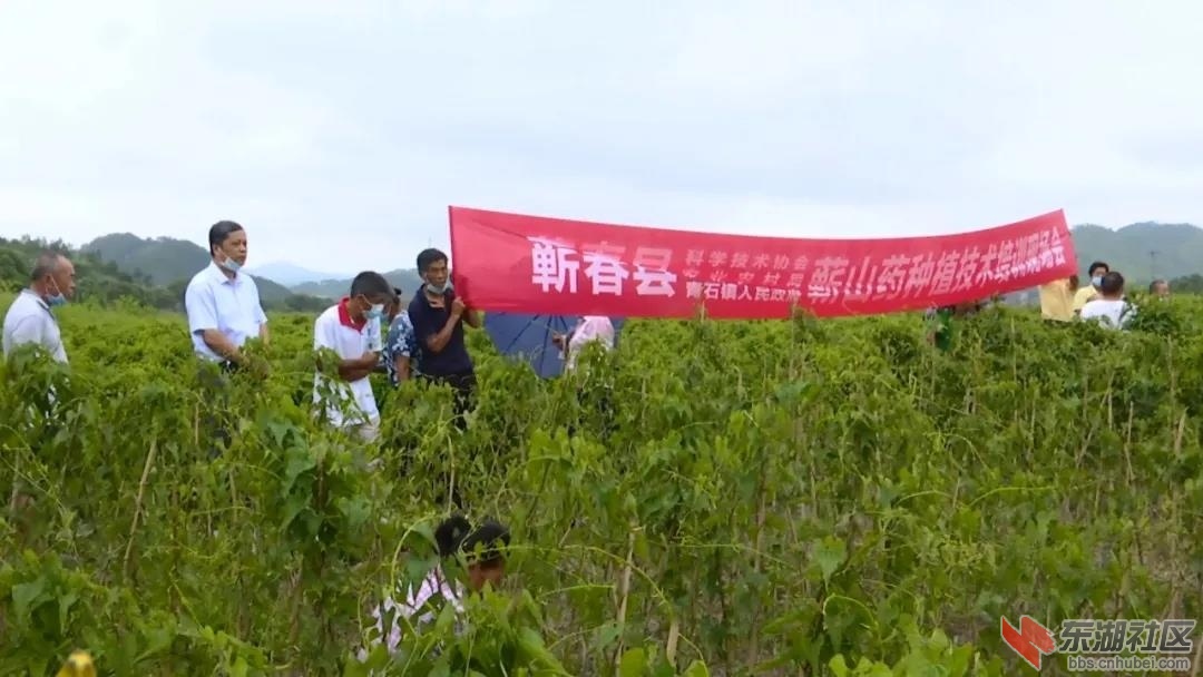 微信图片_20200821213241.jpg