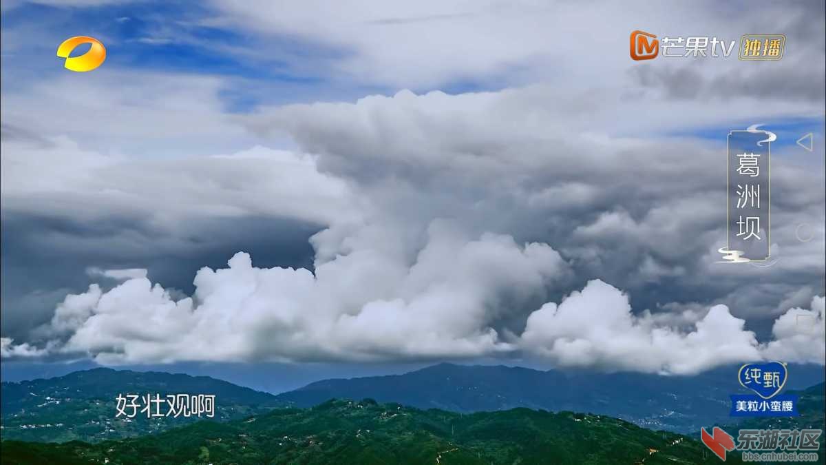 Screenshot_20200822-150853.jpg