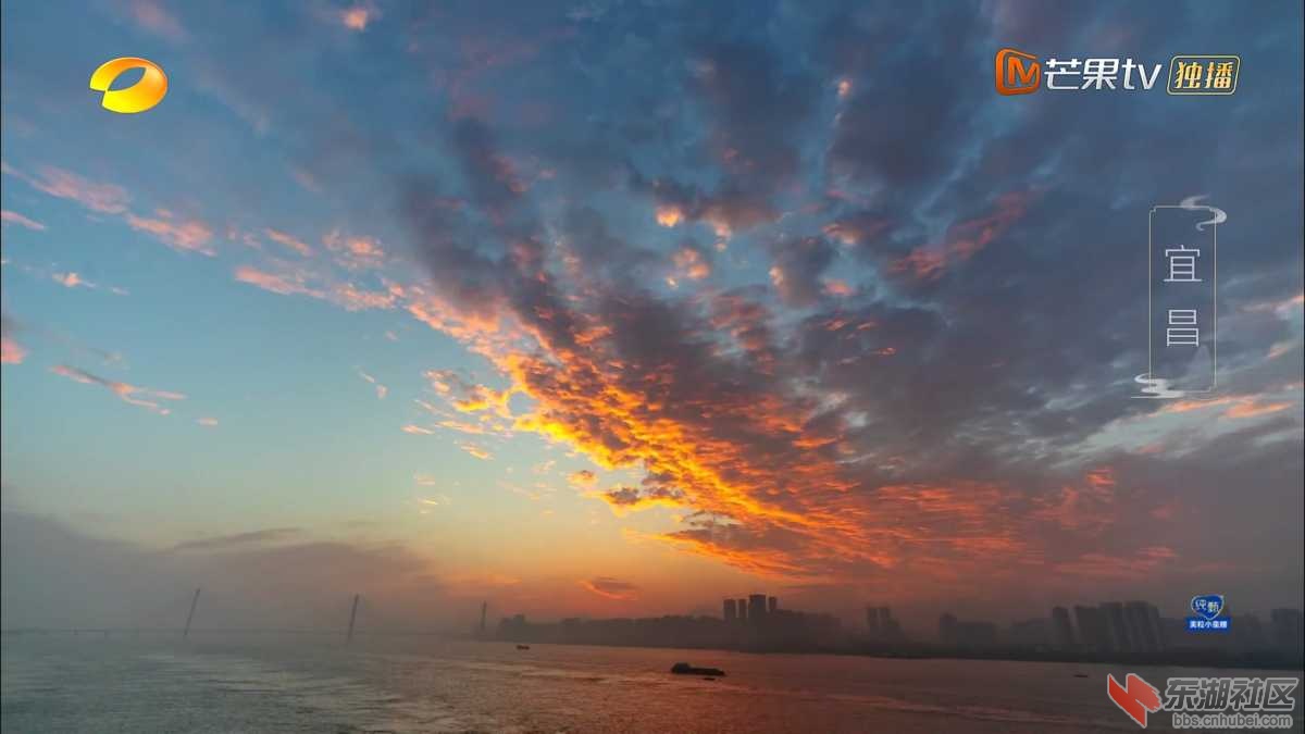 Screenshot_20200822-151013.jpg
