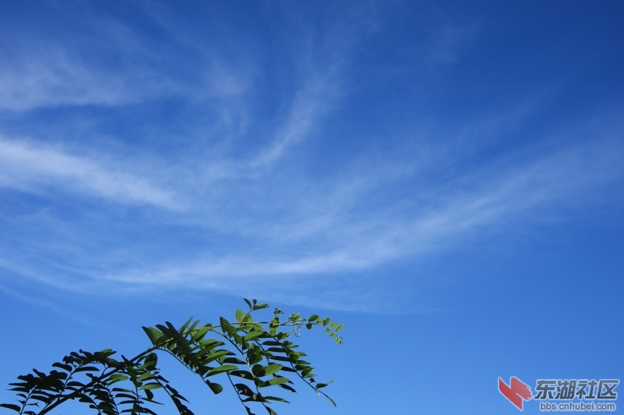 DSC_0074.JPG