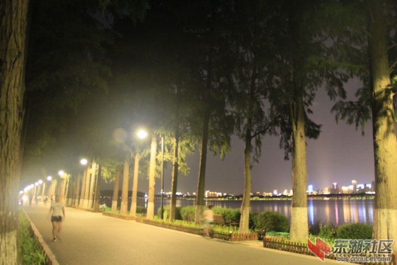 _MG_6838_调整大小.JPG