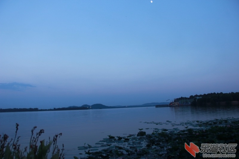 IMG_6776_调整大小.JPG