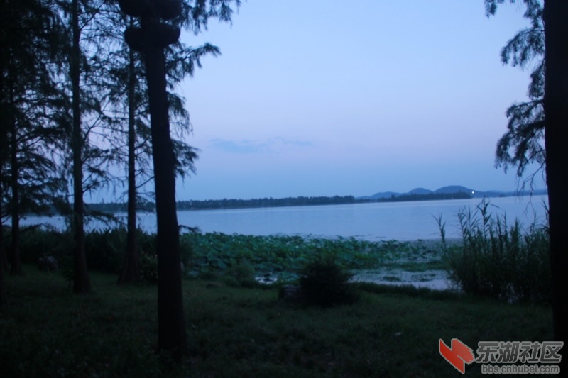 IMG_6777_调整大小.JPG