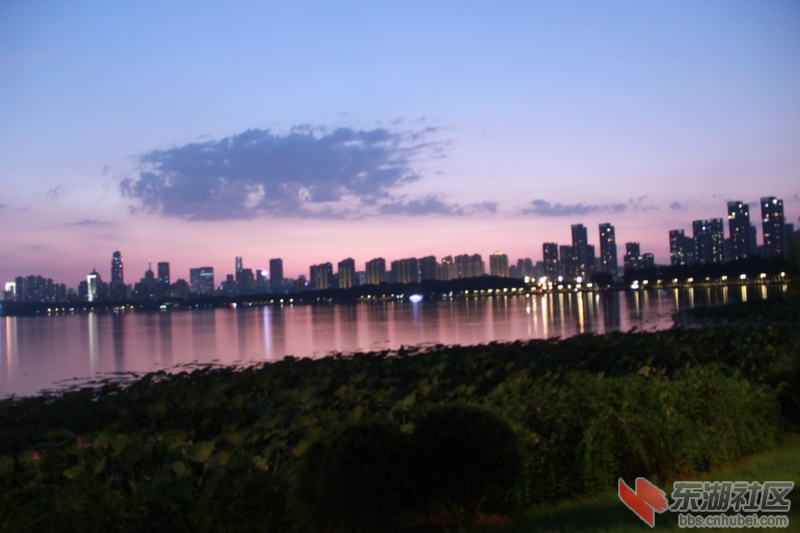 IMG_6787_调整大小.JPG