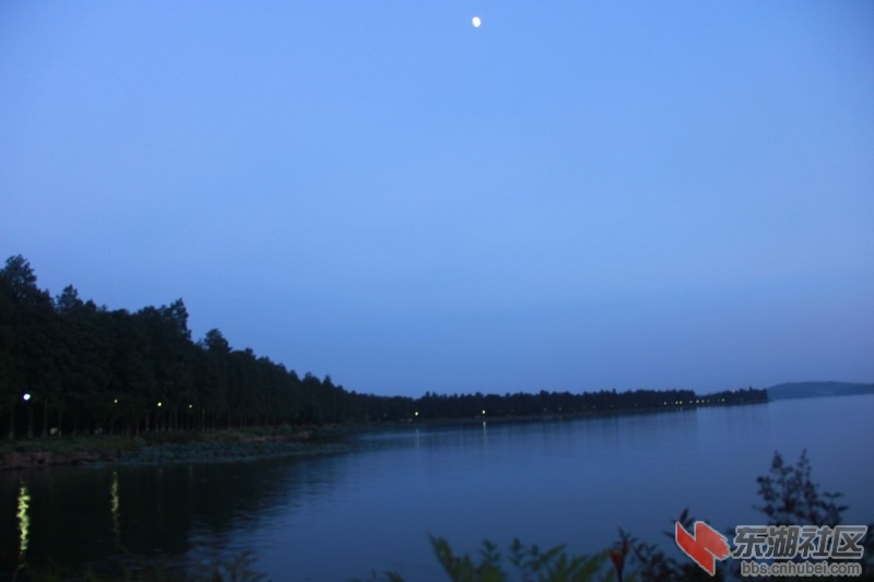 IMG_6779_调整大小.JPG