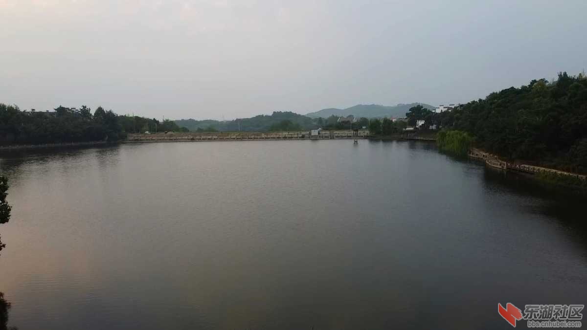 IMG_20200830_072624.jpg