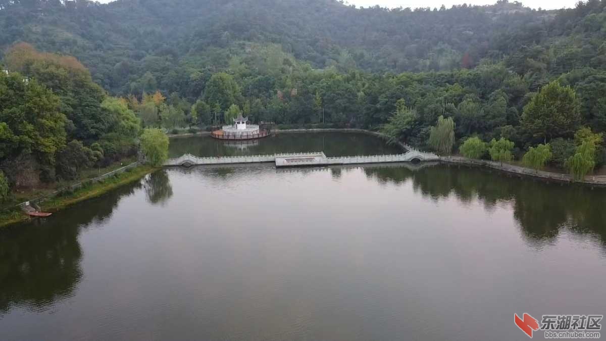IMG_20200830_072708.jpg