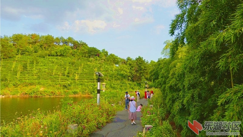 09.jpg