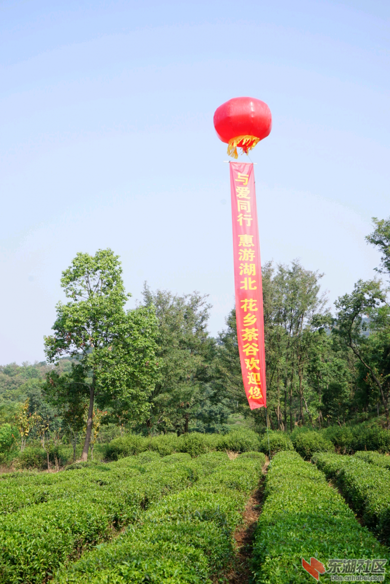 DSC09665_rotate_270.png