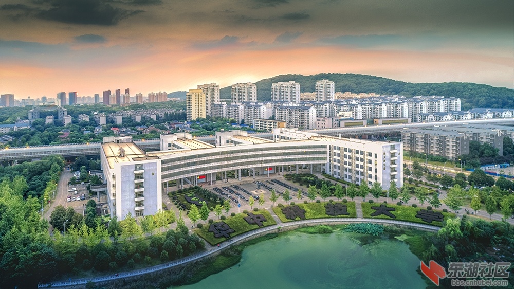 武汉高校开学第一天曾院平摄影.jpg