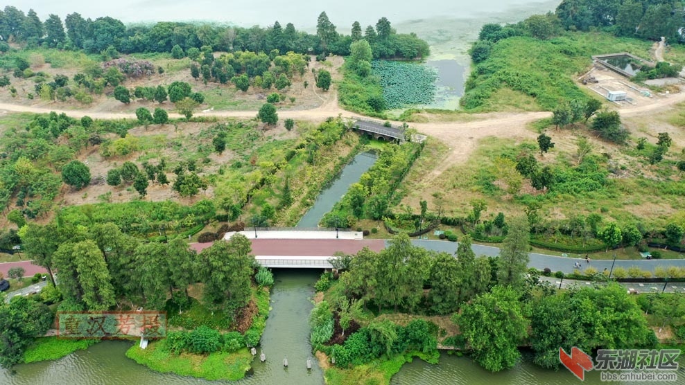 DJI_0583 - 副本.JPG