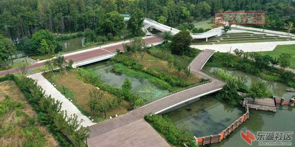 DJI_0590 - 副本.JPG