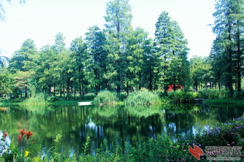 IMG_6858_exposure_调整大小.JPG