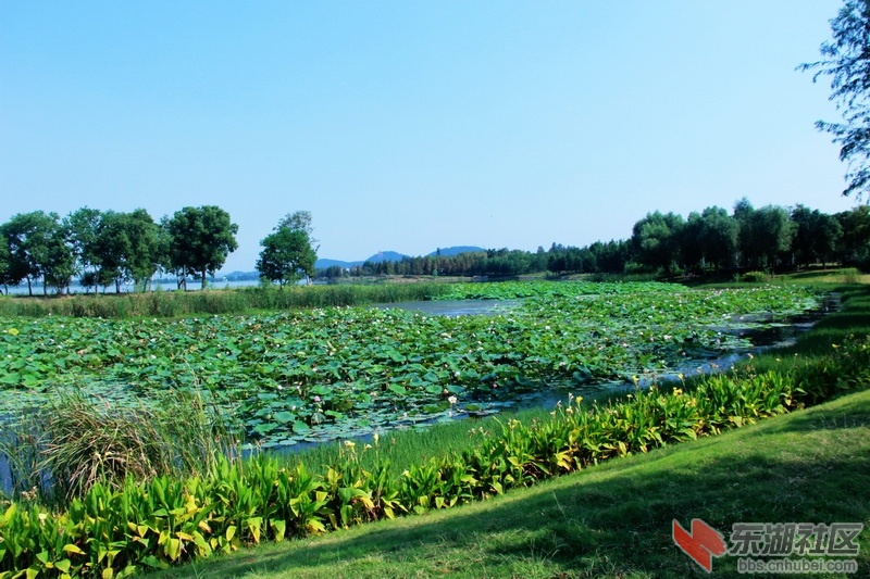 IMG_6861_exposure_调整大小.JPG