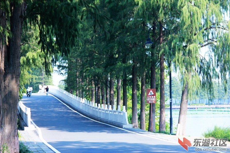 IMG_6864_exposure_调整大小.JPG