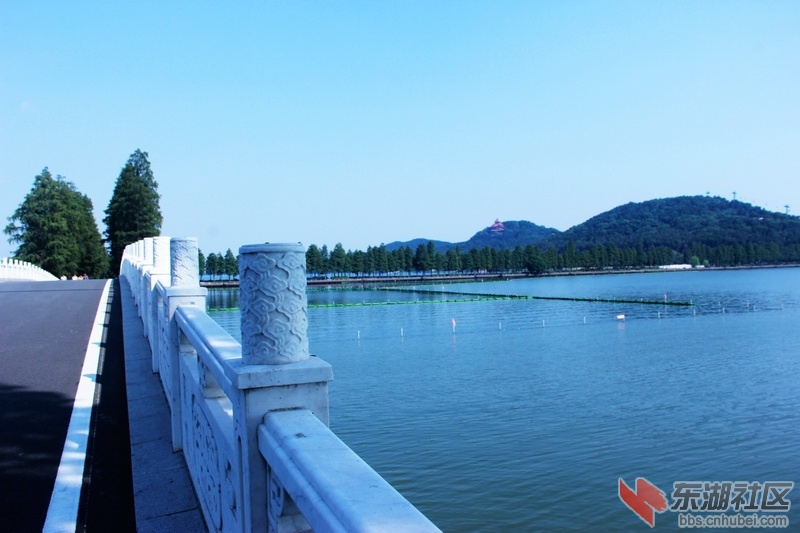 IMG_6865_exposure_调整大小.JPG