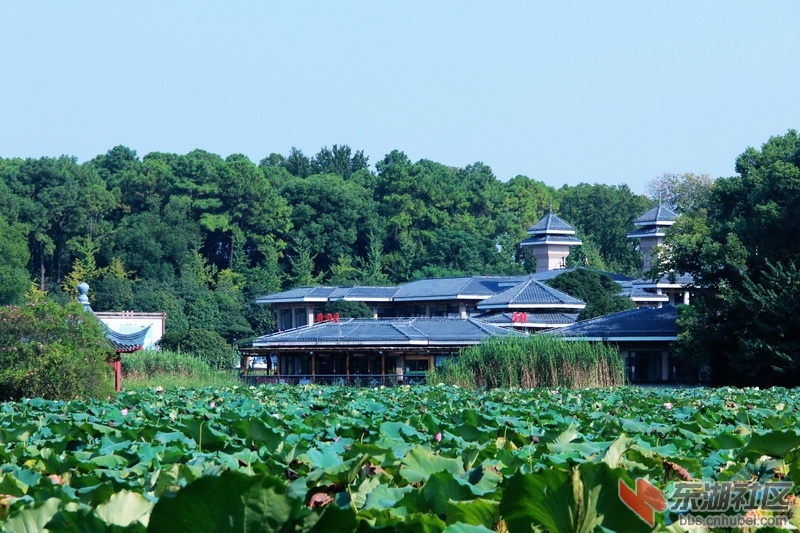 IMG_6873_exposure_调整大小.JPG