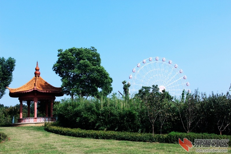 IMG_6871_exposure_调整大小.JPG
