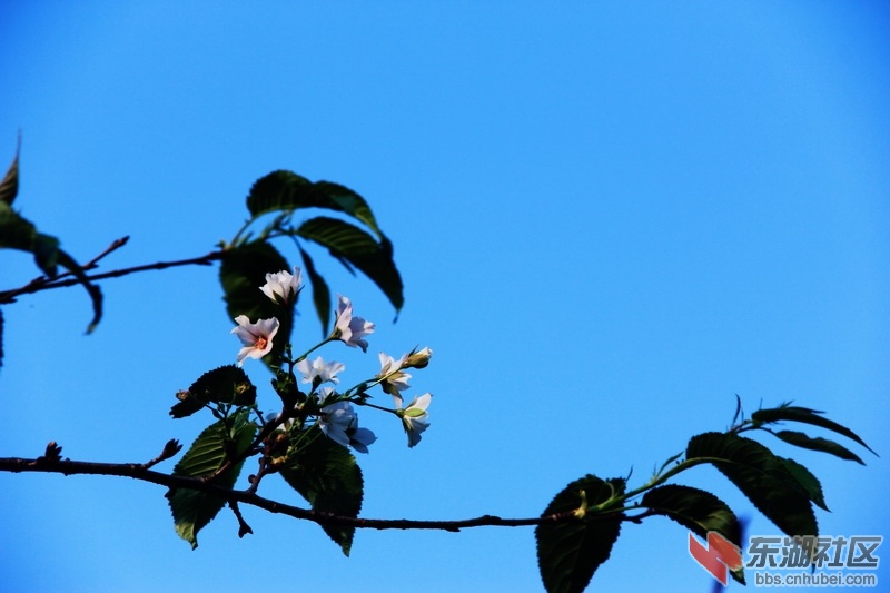 IMG_6898_exposure_调整大小.JPG