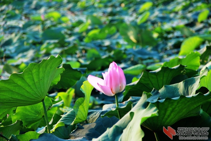 IMG_6908_exposure_调整大小.JPG