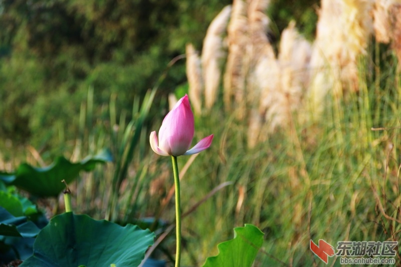 IMG_6920_exposure_调整大小.JPG