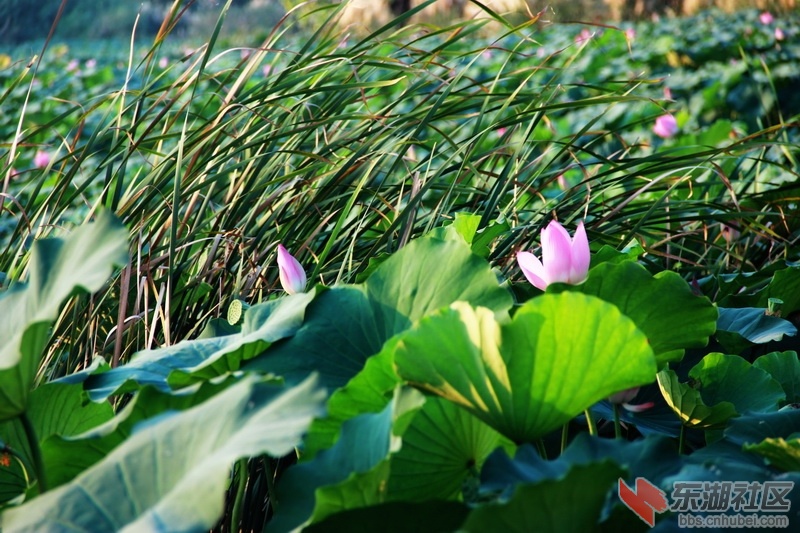 IMG_6911_exposure_调整大小.JPG