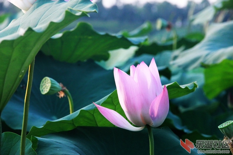 IMG_6923_exposure_调整大小.JPG