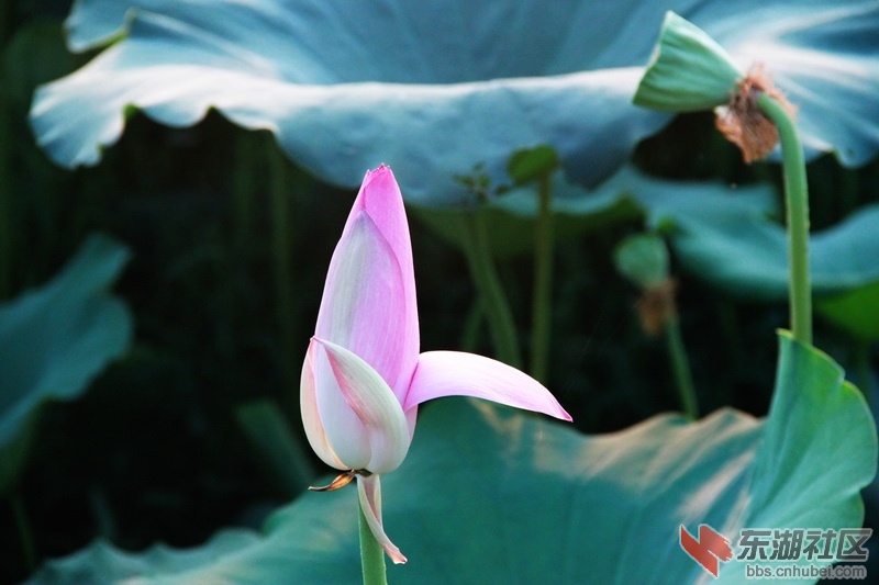 IMG_6927_exposure_调整大小.JPG