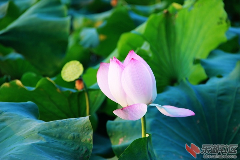 IMG_6930_exposure_调整大小.JPG