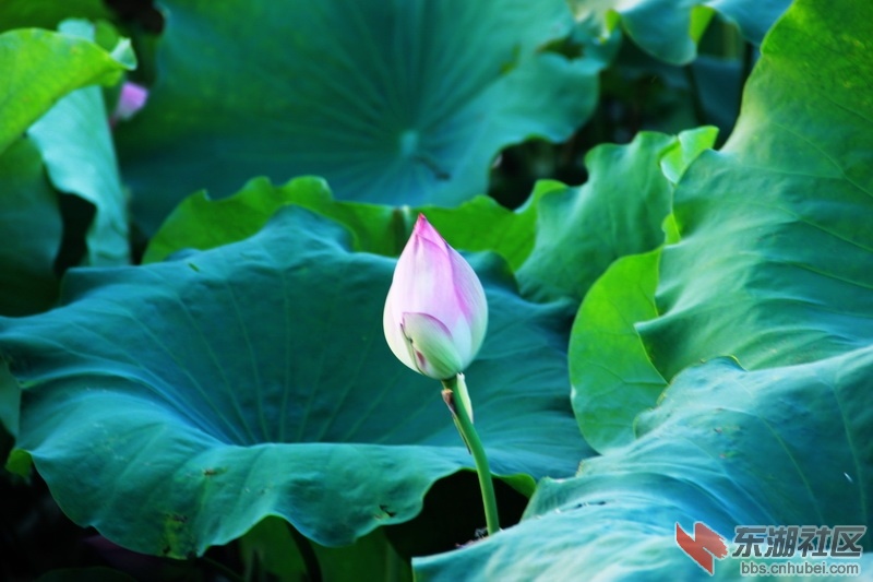 IMG_6933_exposure_调整大小.JPG