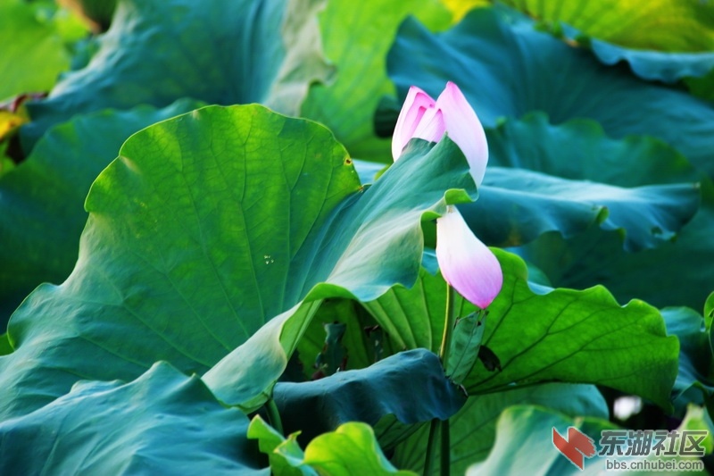 IMG_6931_exposure_调整大小.JPG