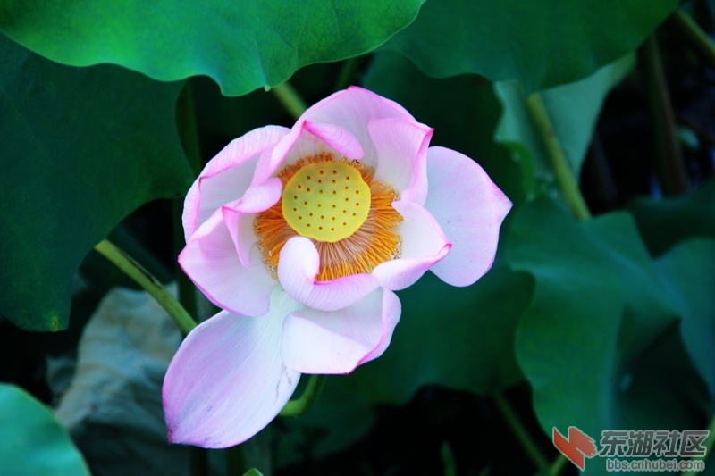 IMG_6935_exposure_调整大小.JPG