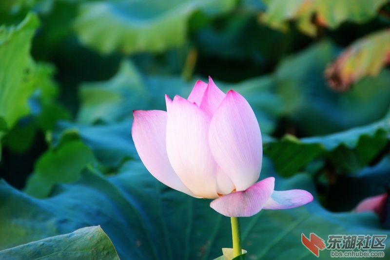 IMG_6934_exposure_调整大小.JPG