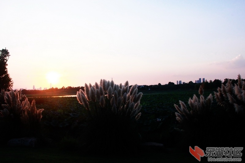 IMG_6938_exposure_调整大小.JPG
