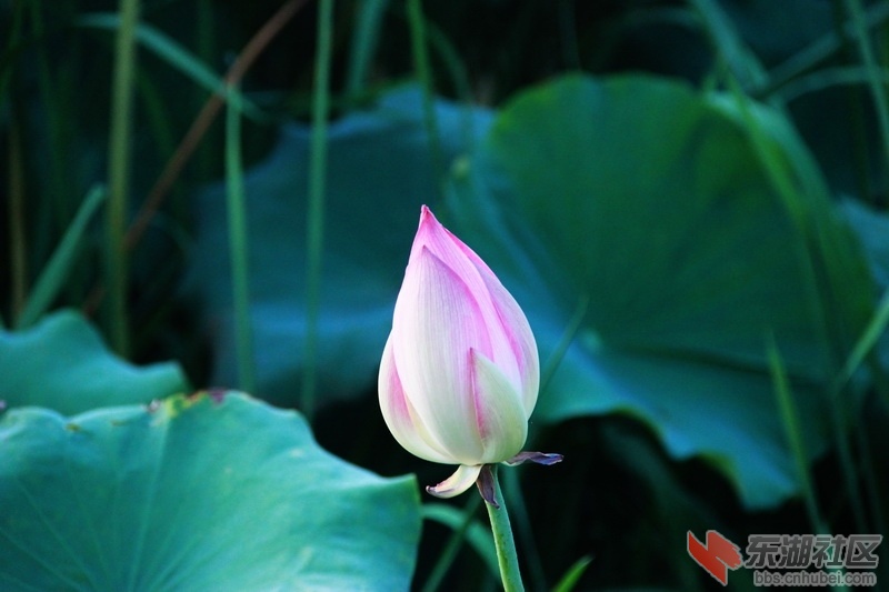 IMG_6943_exposure_调整大小.JPG