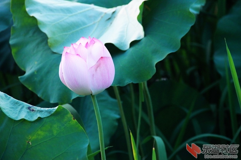IMG_6941_exposure_调整大小.JPG