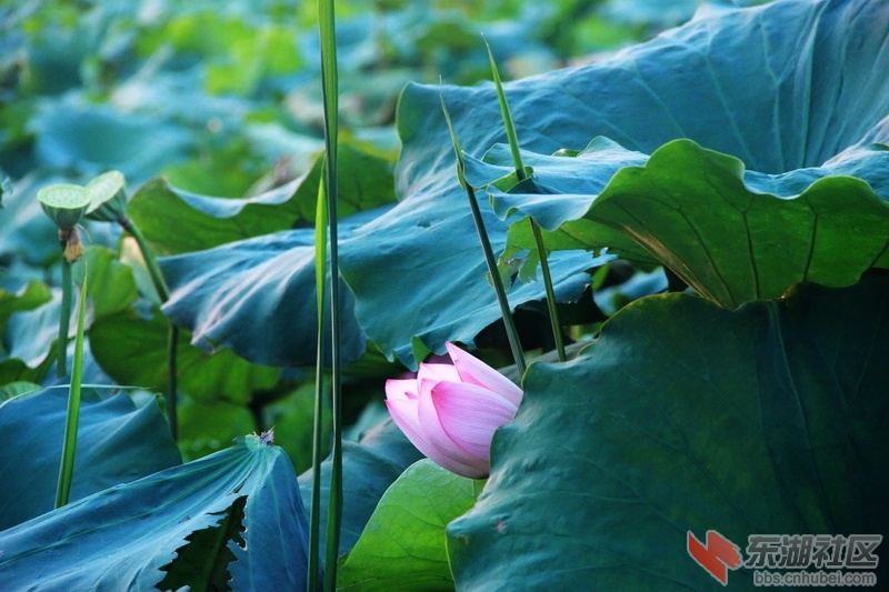 IMG_6944_exposure_调整大小.JPG