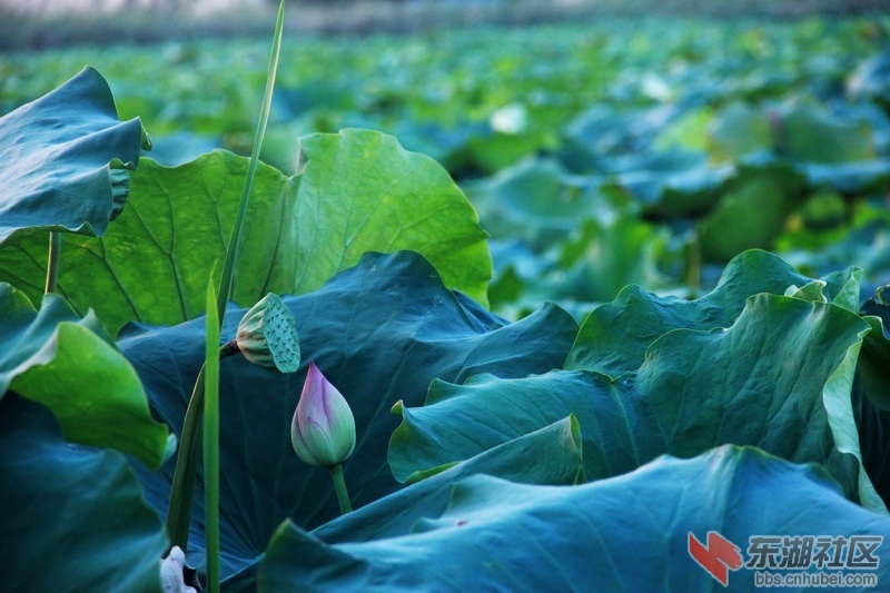 IMG_6945_exposure_调整大小.JPG