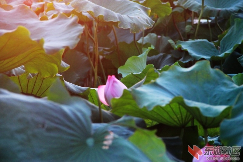IMG_6946_exposure_调整大小.JPG