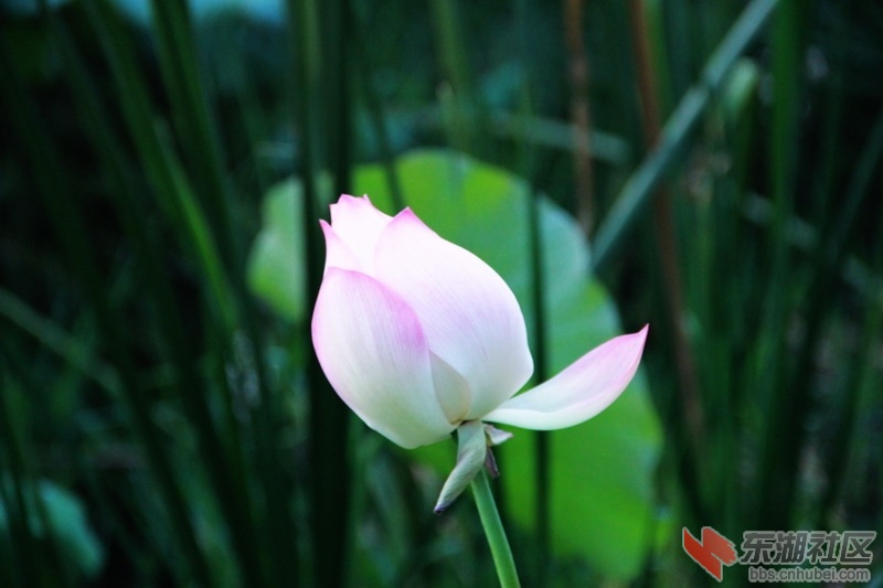IMG_6954_exposure_调整大小.JPG