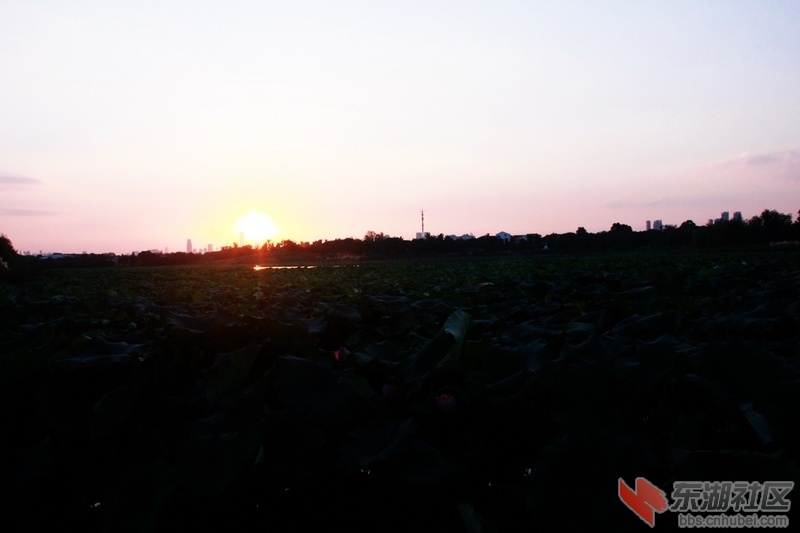 IMG_6948_exposure_调整大小.JPG