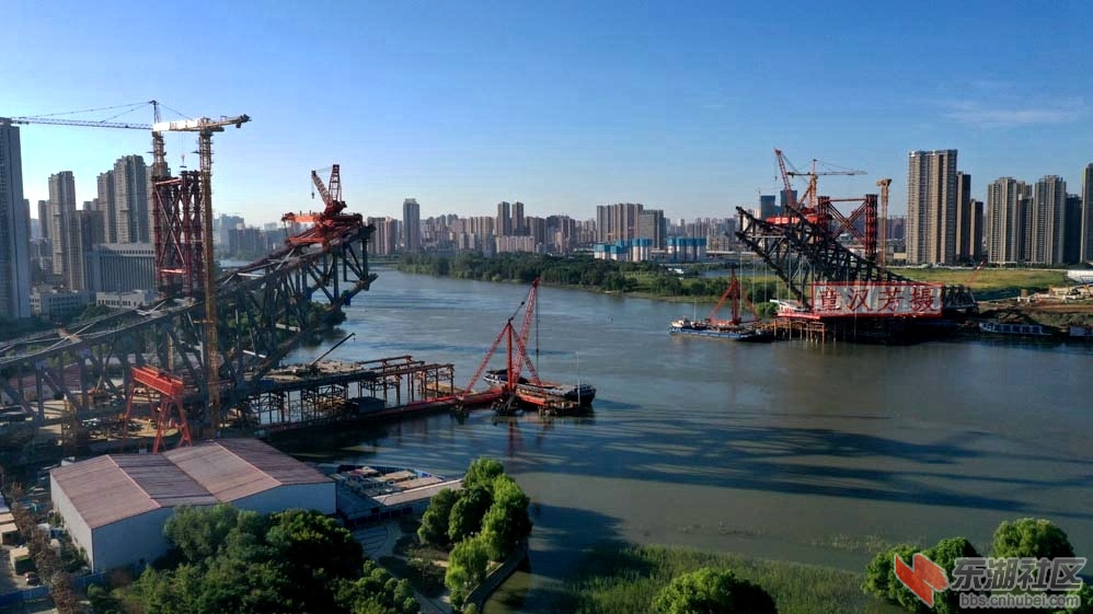 童汉芳摄 无人机看在建的江汉七桥2020.8.16上网DJI_0491 - 副本.JPG