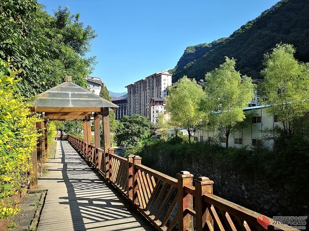 55.秋天的散步路上.jpg