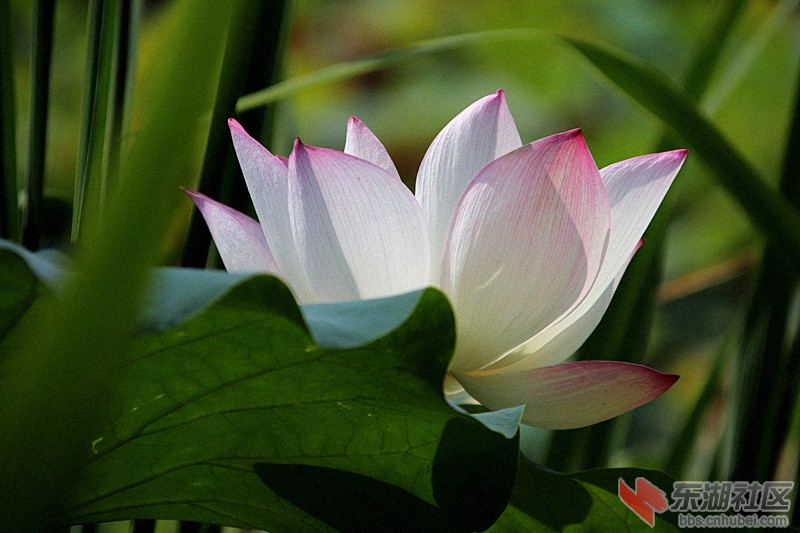 100624rz4wr4204qq00.jpg
