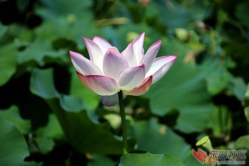 100919upunpan32i232f3p.jpg