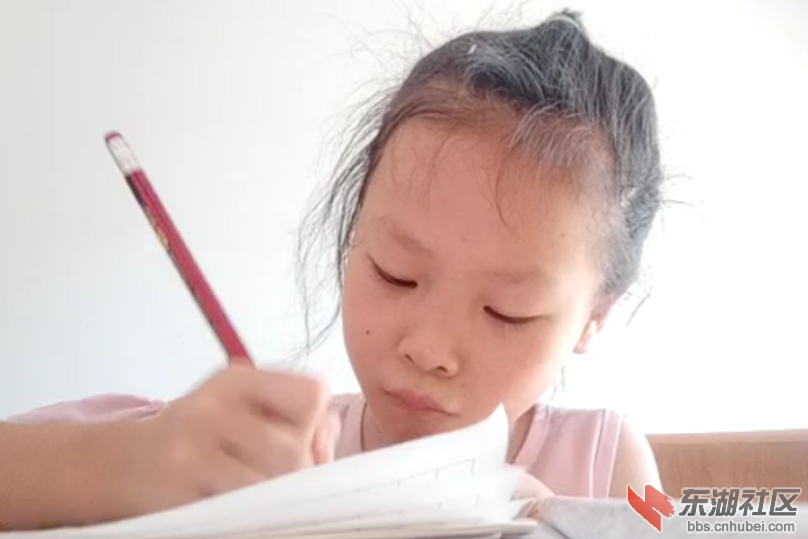 图为学生在家认真写作业的情景。荆楚网通讯员 方彤 提供.png