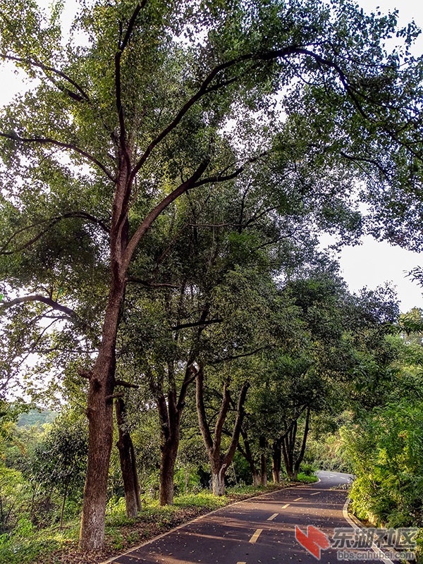 9    DSC02176_副本.jpg