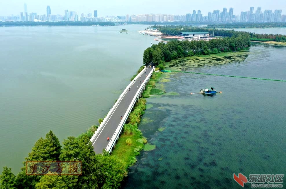 DJI_0994 - 副本.JPG