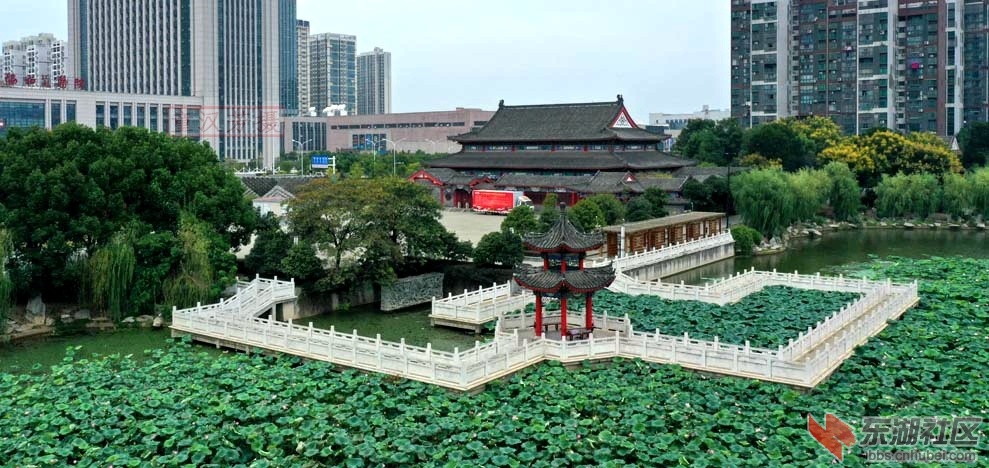 DJI_0103 - 副本.JPG